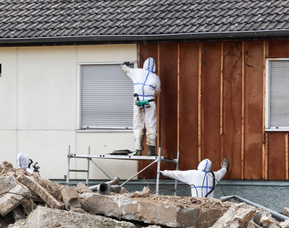 Area Asbestos Removal